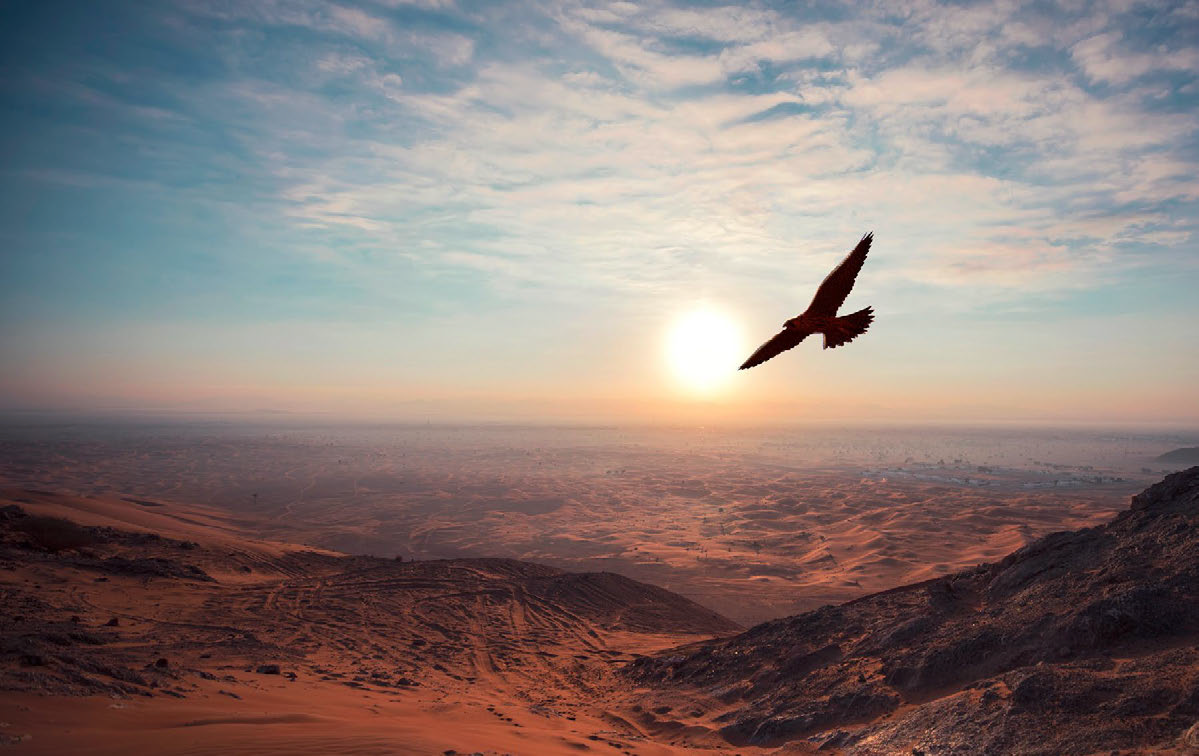 Info Banner  Reverse with Content Start