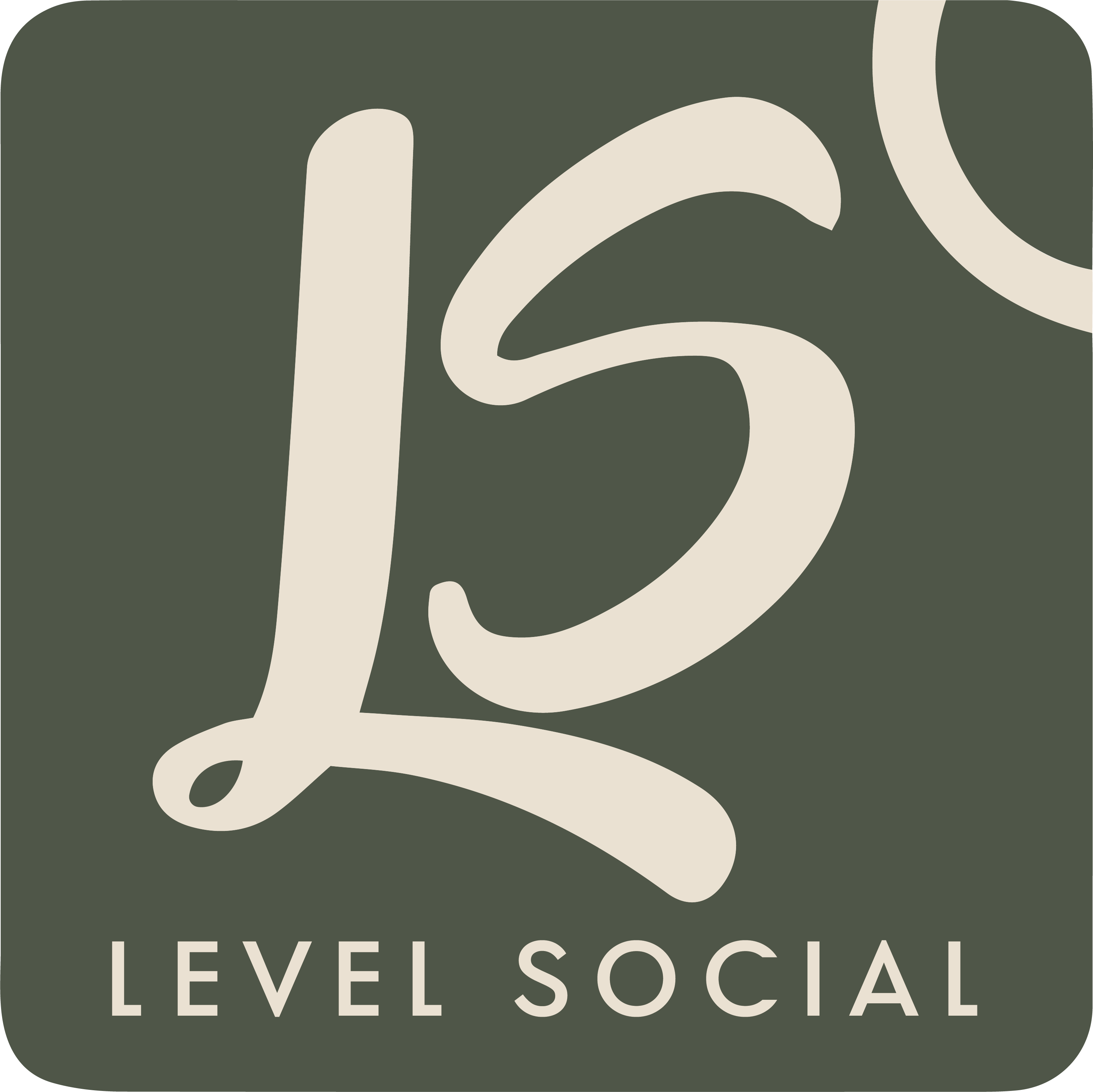 Level Social