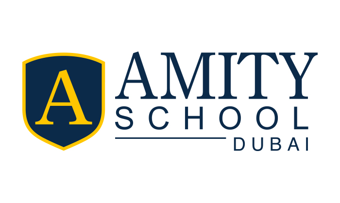 Amity school llc
