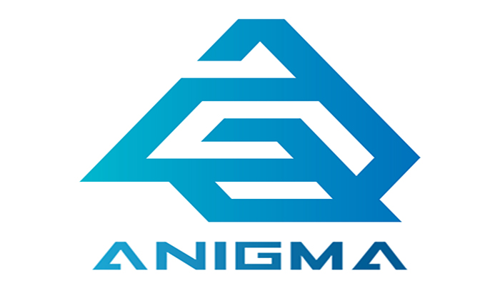 Anigma Computers