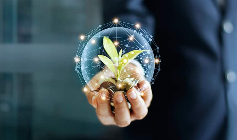 ING Bank A.. &quotING Turkey&quot the &quotCompany&quot or the &quotBorrower&quot